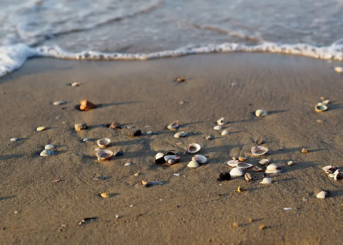 Wonderful With Attic In A Quiet Area شقة *